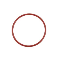 Spare Part - O-Ring for Top Panel (TM1)